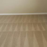 Crystal Steem Carpet Cleaner image 8